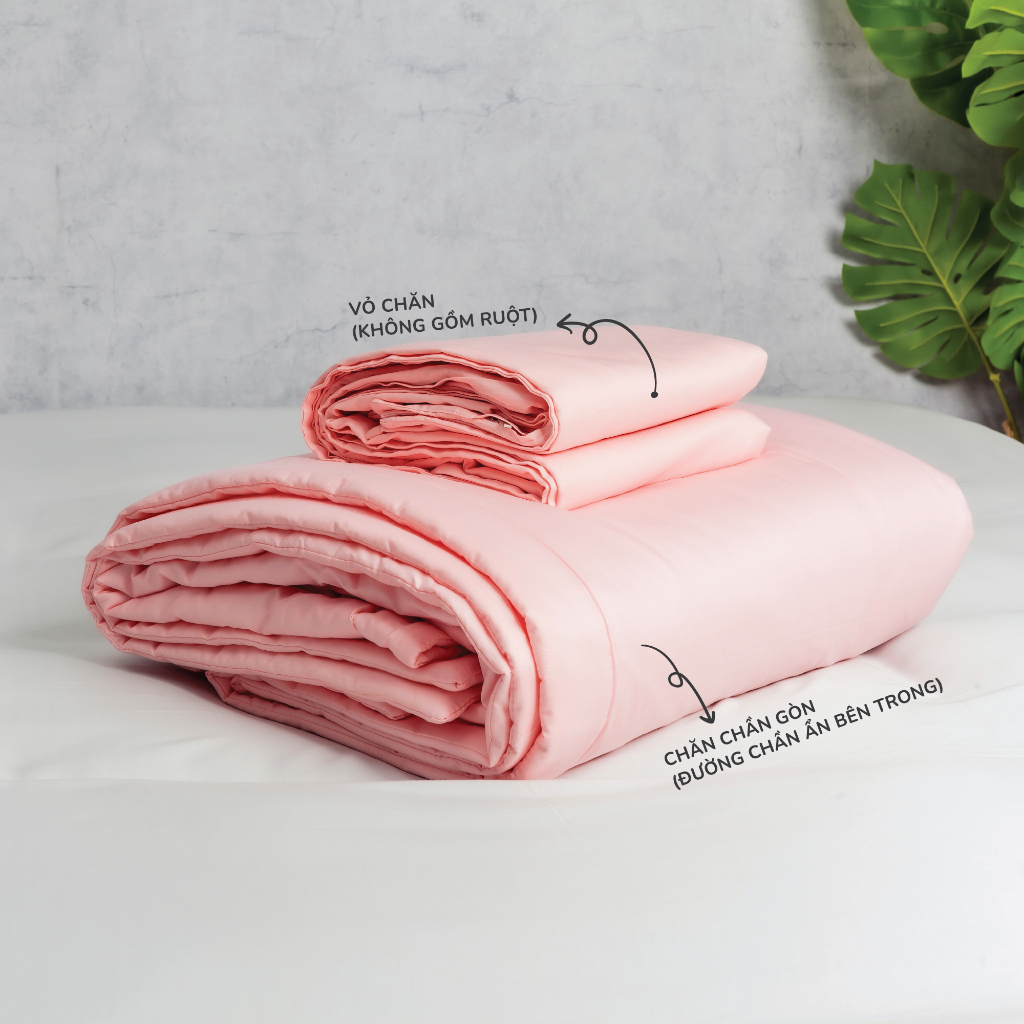 [Pastel] Chăn Cotton 100% Phong Cách Nhẹ Nhàng