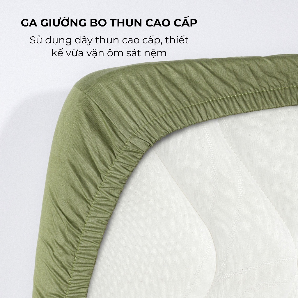 [Luxury] Bộ Ga Gối Cotton 100% Phong Cách Sang Trọng