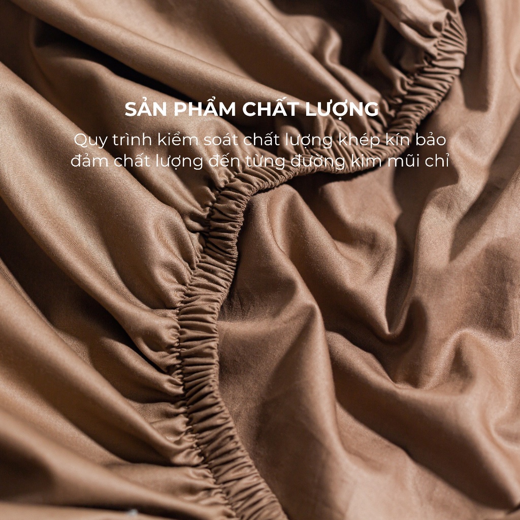 [Pastel] Ga Giường Cotton 100% Phong Cách Nhẹ Nhàng